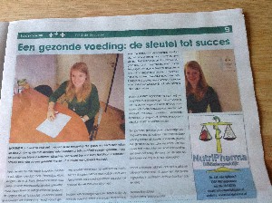 Artikel Zicht Op Spijkenisse